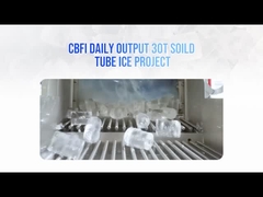 यूरोप 30 टन सॉलिड फ्लैट कट एंड्स ट्यूब आइस मशीन केस