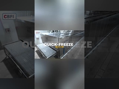 2 टन/घंटा सुरंग त्वरित फ्रीजर गोदाम मामला