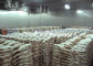 मांस मछली मुर्गियों के लिए 1000 टन R507 R404a बड़ा फ्रीजर कोल्ड रूम